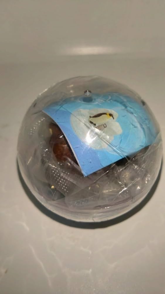 【セイウチ】カプリウムコレクション海洋生物 ガチャ「カプリウムコレクション 海洋生物」発売決定 - GAME Watch